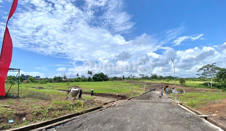 Tanah Kavling Ekslusive Harga Ekonomis View Sawah, Gubug Tabanan
