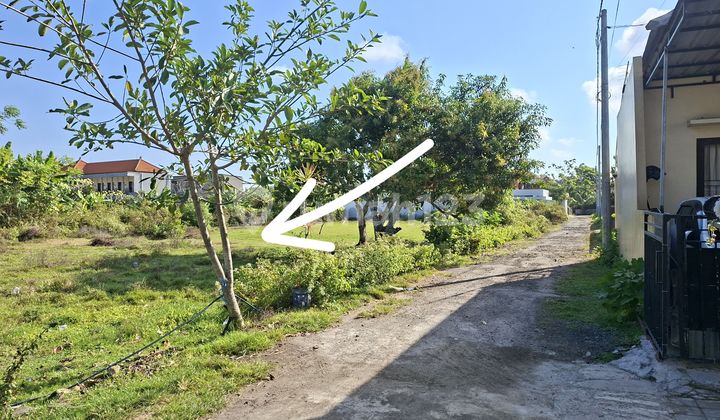 Tanah Bukit Toyaning Ungasan Kuta Selatan Badung Bali