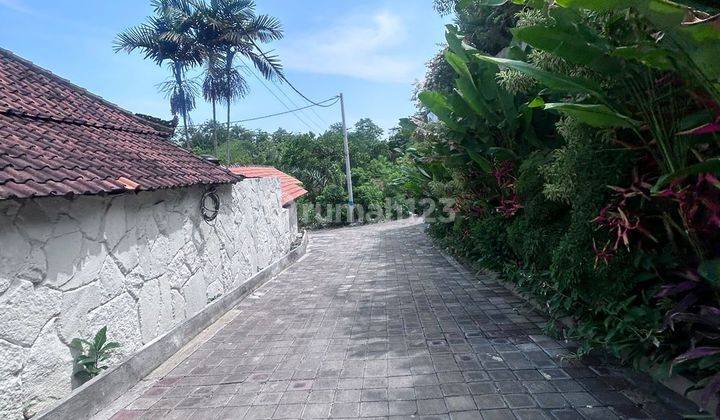 Land for Rent in Belimbing Sari Pecatu South Kuta Badung Bali 2