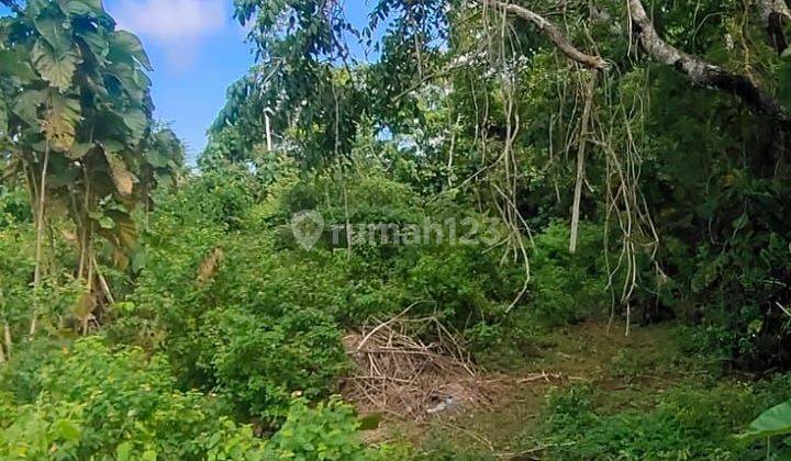 Tanah Jalan Utama Belimbing Sari Pecatu Badung Bali 2