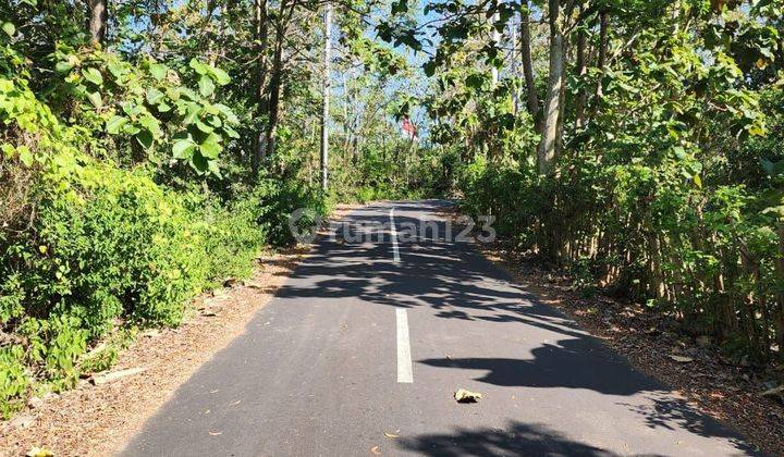 Tanah Murah Pecatu Uluwatu Kuta Selatan Badung Bali 1