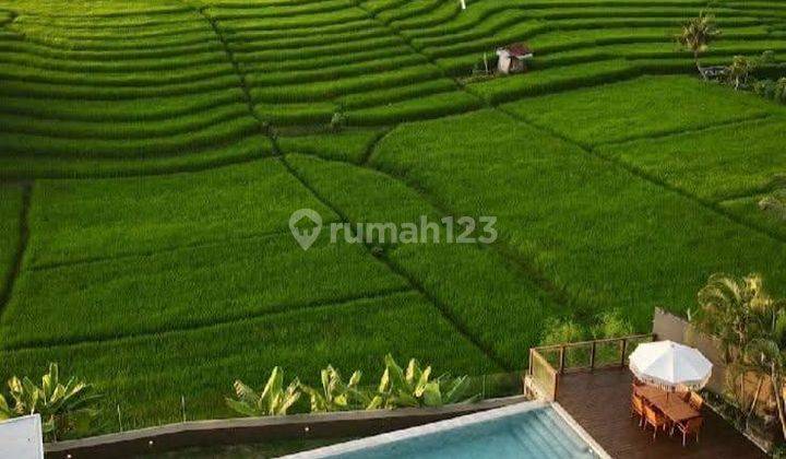 Villa View Sawah Canggu Kuta Utara Badung Bali 1