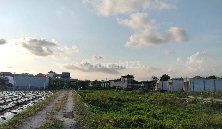 Tanah Sewa Kedampang Kerobokan Denpasar Bali 1