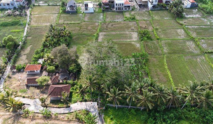 Land with Rice Field View in Singakerta Tebongkang Ubud Gianyar Bali 2