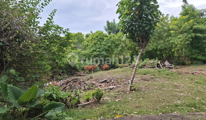 Movenpick Land, Jimbaran, Uluwatu, Badung, Bali