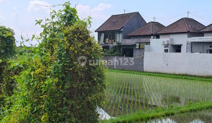 Tanah Ds Murah View Sawah Nyitdah Tabanan Bali 1