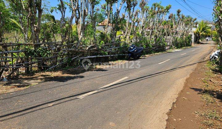 Land on Belimbing Sari Street, Pecatu, South Kuta, Badung, Bali 2