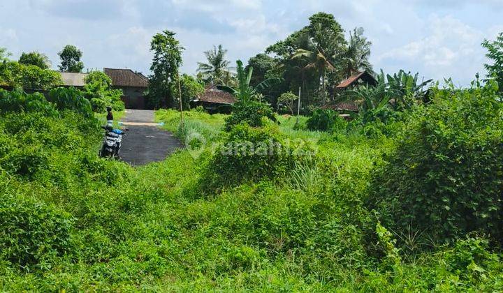 Tanah Ds Murah View Sawah Nyitdah Tabanan Bali 2