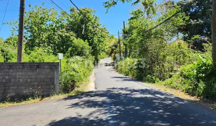 Tanah Murah Belimbing Sari Pecatu Badung Bali Tanah Murah Belimbing Sari Pecatu Badung Bali