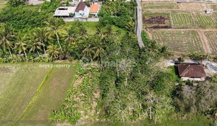 Land with Rice Field View in Singakerta Tebongkang Ubud Gianyar Bali 1