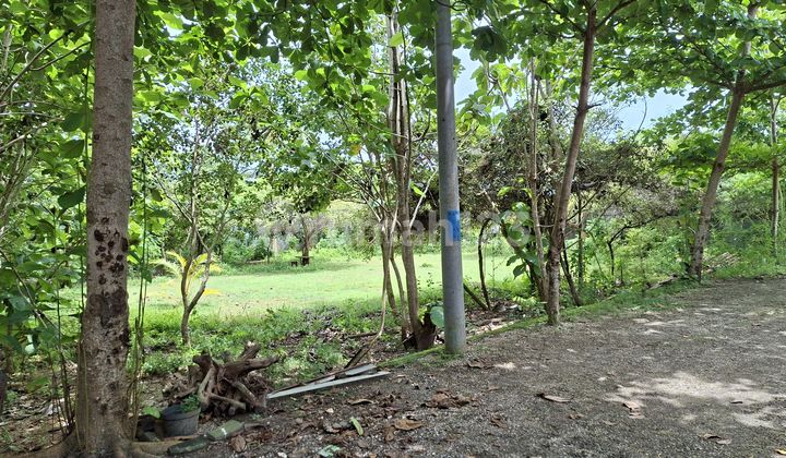 Tanah Bonus Bangunan Rumah Gunung Payung Pandawa Badung Bali Tanah Bonus Bangunan Rumah Gunung Payung Pandawa Badung Bali