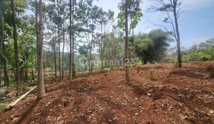 Tanah Murah Luas 1764 M² Siap Bangun Perumahan, Sekolah Atau Villa Di Sekejengkol Dekat Kampus Unpad Jatinangor, Cileunyi Kab. Bandung 1