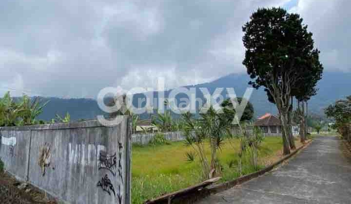 Bedugul Raya Land 5000mt. Ready to Build Bedugul Raya Land 5000mt. Ready to Build