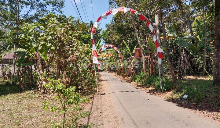 Tanah Belakang Pabrik Sci Randuacir Argomulyo Salatiga 2