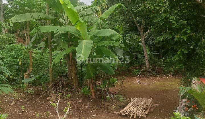 Tanah SHM - Sertifikat Hak Milik di Tegalrejo salstiga, Salatiga 2