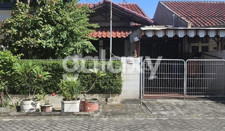 Dijual Rumah Lama Hitung Tanah Kompleks Perumahan Darmo Satelit Surabaya Barat Dijual Rumah Lama Hitung Tanah Kompleks Perumahan Darmo Satelit Surabaya Barat