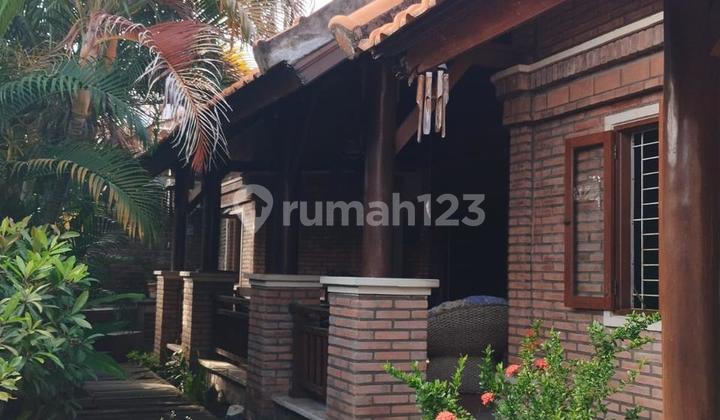 For Sale, Comfortable and Lush Home in Sesetan, South Denpasar 2