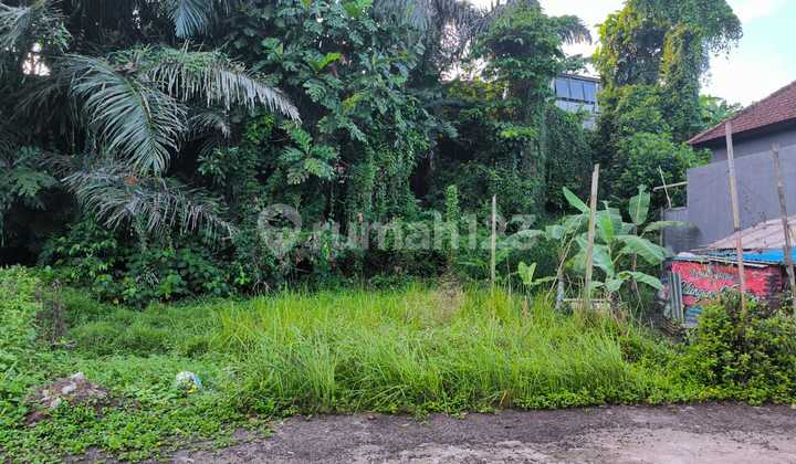 Di Jual Tanah Murah Di Pusat Kota Kediri Tabanan Bali Di Jual Tanah Murah Di Pusat Kota Kediri Tabanan Bali