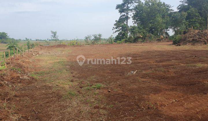 DI JUAL TANAH - Area  Strategis JEPARA  2