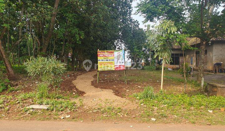 DI JUAL TANAH - Area  Strategis JEPARA  1