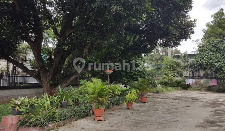 Rumah Bagus di Pejaten Barat Jakarta Selatan Rumah Bagus di Pejaten Barat Jakarta Selatan
