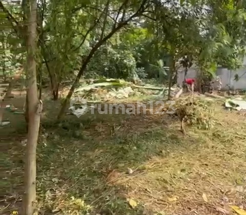 Hot Sale! Tanah Area Jagakarsa Harga di Bawah NJOP