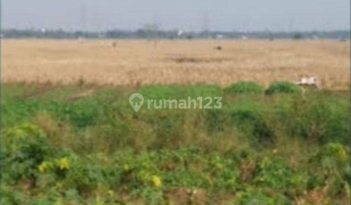 Jual Lahan Di Sukawangi Sukatenang Bekasi 2