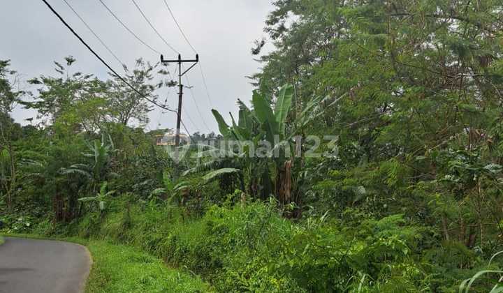 FOR SALE – Exotic Land in North Bali with City & Sea View 