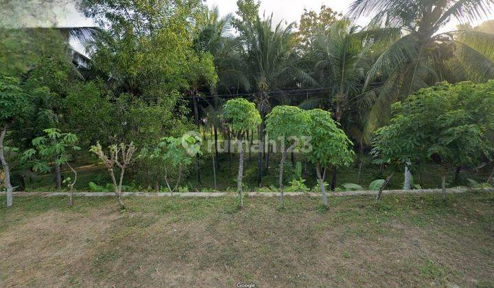 DIJUAL TANAH TEPI PANTAI - Pacitan, Jawa Timur 1