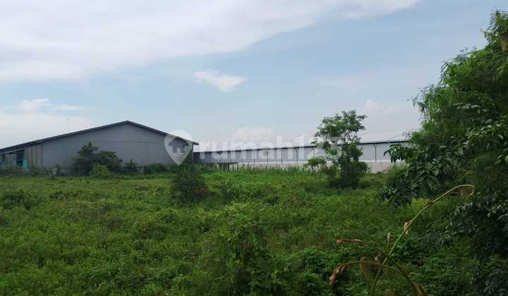 Langka Jarang Ada‼️ Disewakan Tanah di Sentral Margomulyo Permai