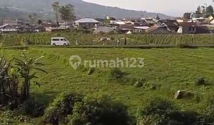 Beautiful Land View in Dieng Wonosobo Beautiful Land View in Dieng Wonosobo