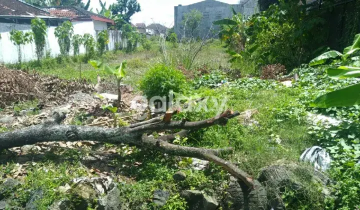 Tanah Pekarangan shm Di Kota Yogyakarta . Ed 1