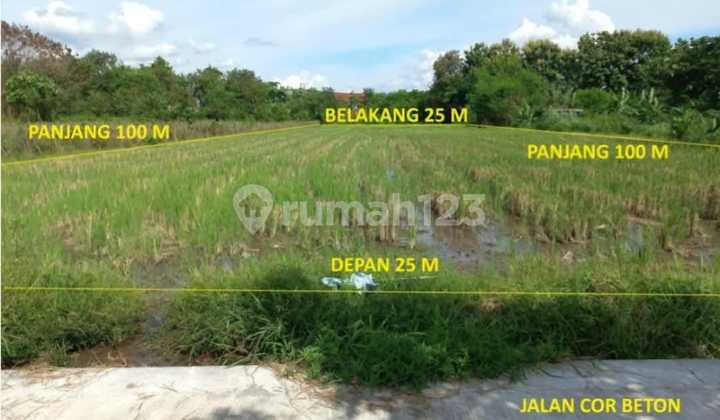 Tanah Luas Siap Investasi di Jalan Kabupaten