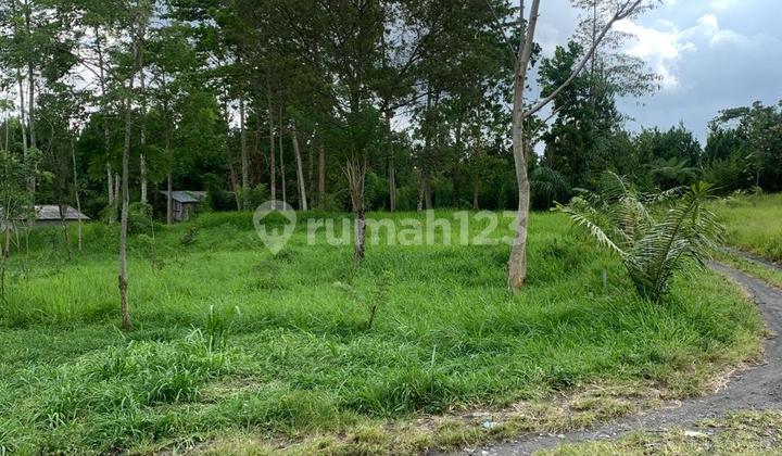 For Sale SHM Land in Strategic Kaliurang Tourism Area, Exceptional View