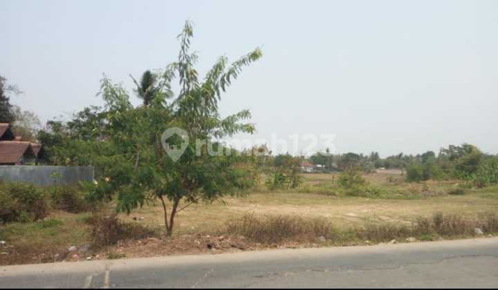 Dijual Cepat Tanah Di Balaraja Tangerang. Dijual Cepat Tanah Di Balaraja Tangerang.