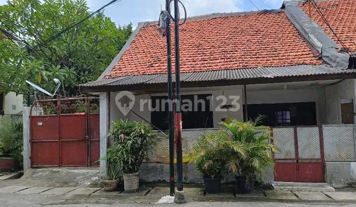 Dijual Cepat Rumah Luas Di Gunung Sahari-jakarta Pusat