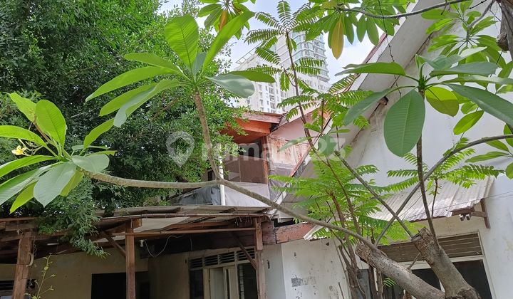 FOR SALE OLD SPACIOUS HOUSE IN GUNUNG SAHARI - CENTRAL JAKARTA 2