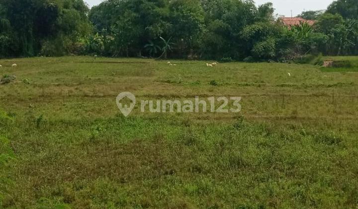 Di Jual Murah Tanah Luas Cibarusah-kabupaten Bekasi. Lokasi Bagus. Bukan Pedalaman Di Jual Murah Tanah Luas Cibarusah-kabupaten Bekasi. Lokasi Bagus. Bukan Pedalaman