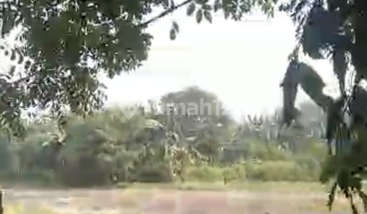 Dijual Tanah Harga di Bawah NJOP di Tambun Bekasi Letak Strategis Hadap Jalan Besar