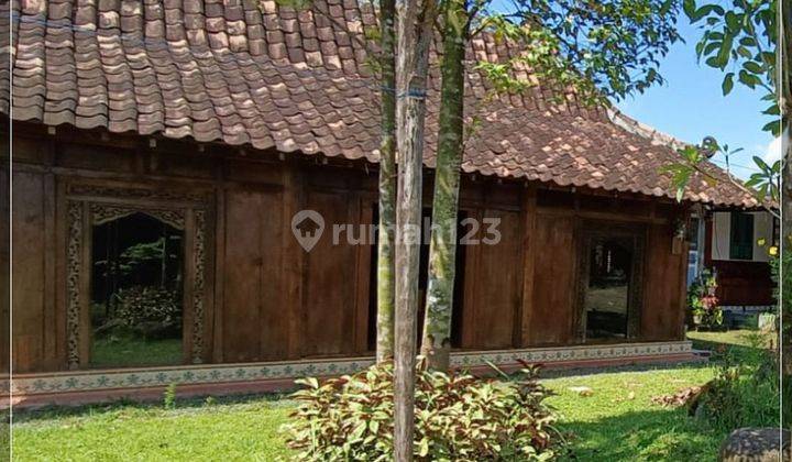 Rumah Joglo Limasan di Godean Bonus Sawah 1