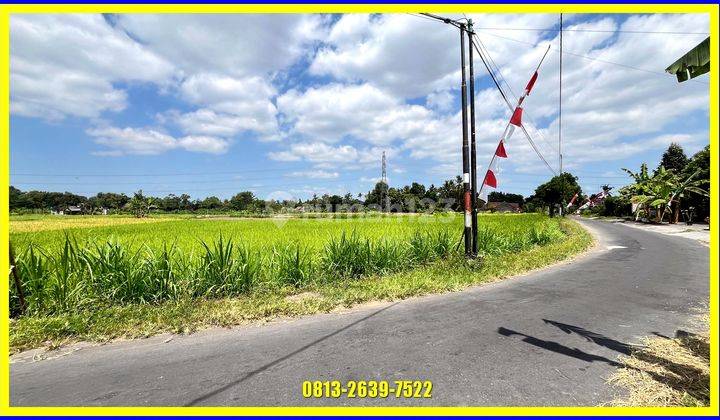 SHM Sawah Tanah di Gentan Jl Kaliurang Cocok Usaha 1