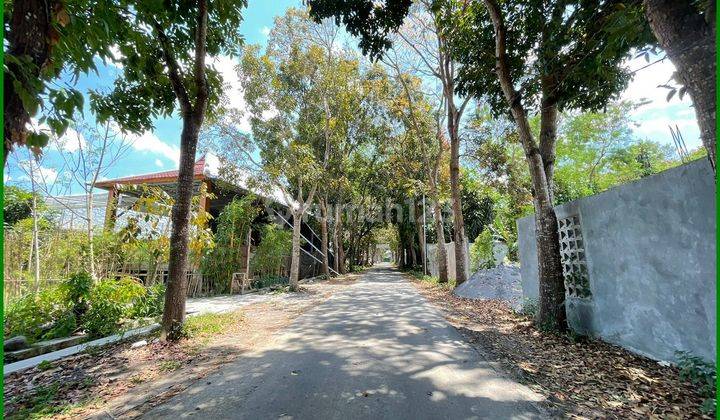 5 Menit Rsa Ugm, Jual Tanah Murah Ringroad Barat 2