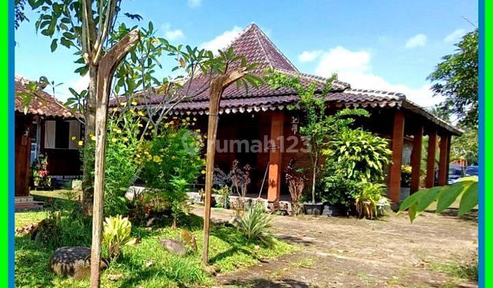 Rumah Joglo Kebun Buah Dijual Godean Sleman 1