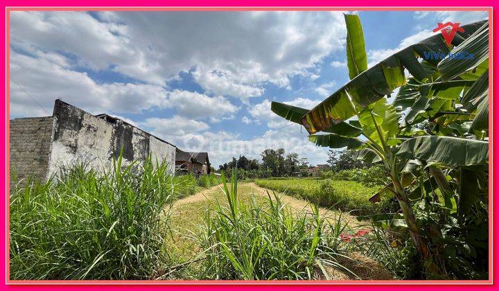 Jual Cepat Tanah Sawah Murah Cocok Resto di Jakal Km 10 2