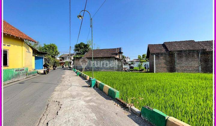 Jual Tanah Murah Balong Lor di Bantul Shmp 2