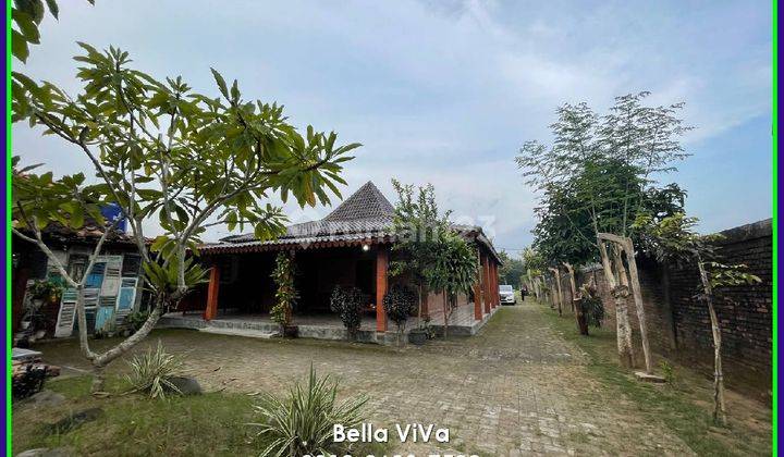 Jual Villa Godean Sleman, Bonus Sawah dan Pohon Kurma 1