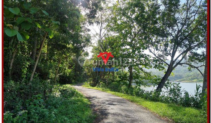 Cocok Investasi, tanah di Wisata Waduk Sermo Jogja 2