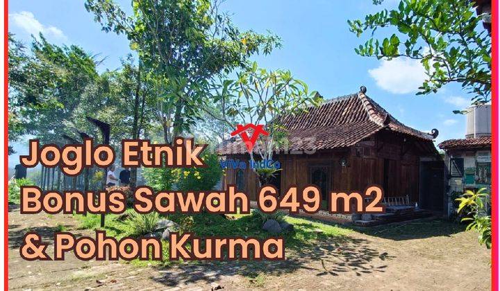 Joglo Dijual Bonus Sawah di Jogja Barat Dekat Jl Godean 1