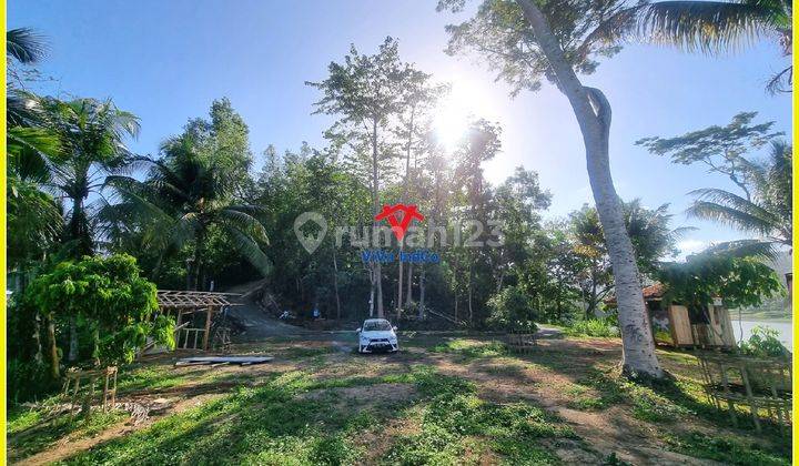 Tanah Dijual Kokap Kulonprogogo View Sermo Cocok Resto 2