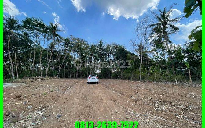 Tanah Murah di Barat Pasar Godean Jogja Ajb 2